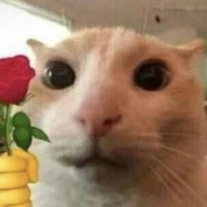 Meet your Posher, Liliana